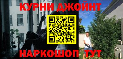 гашик Малгобек