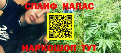 крисы Малоярославец