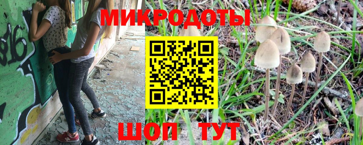 Галлюциногенные грибы Psilocybe Фролово