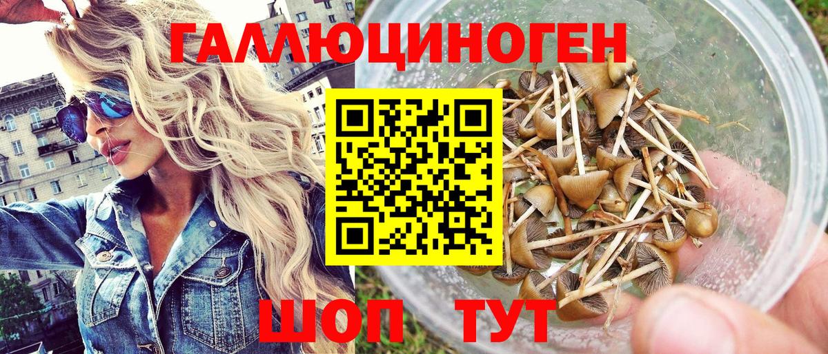 где купить наркоту  Вход с VPN  Фролово  Галлюциногенные грибы Cubensis 